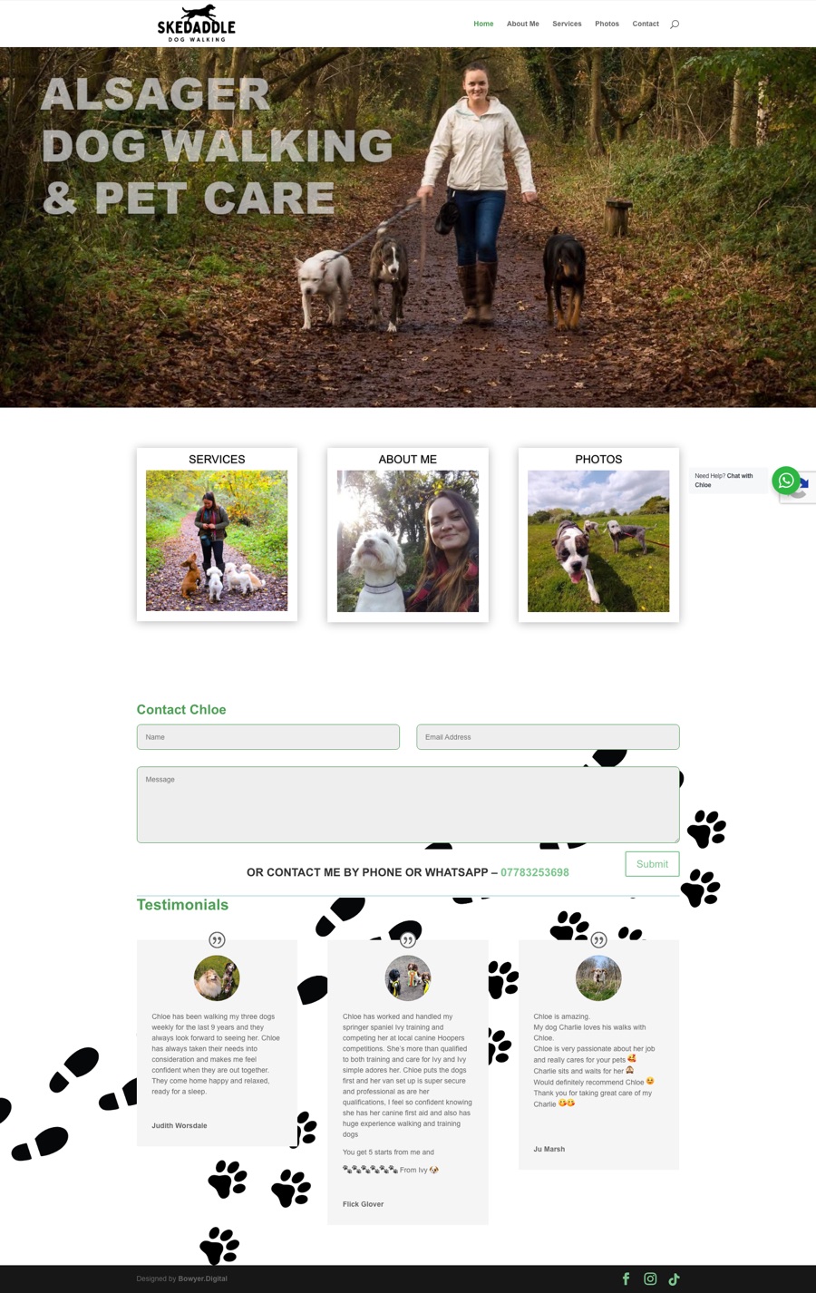 Screenshot of the Skedaddle Dogs website